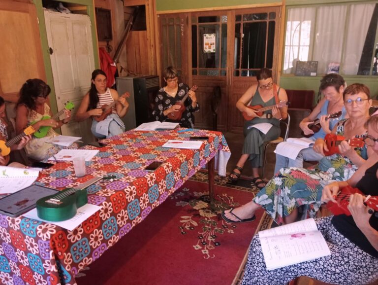 Atelier Ukulélé pour les pros de la petite enfance